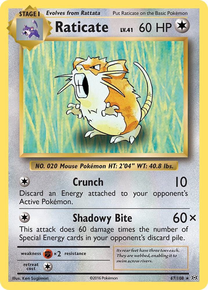 Raticate (XY - Evolutions)