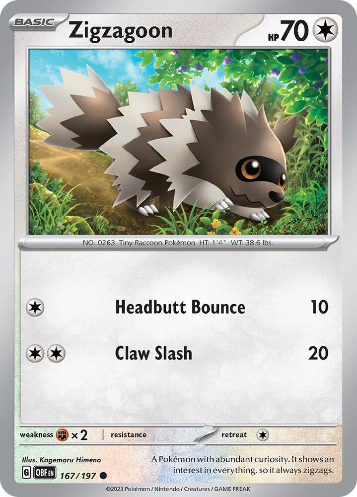Zigzagoon (SV03: Obsidian Flames)