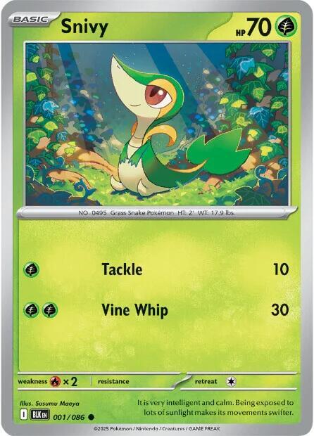 Snivy (SV: Black Bolt)