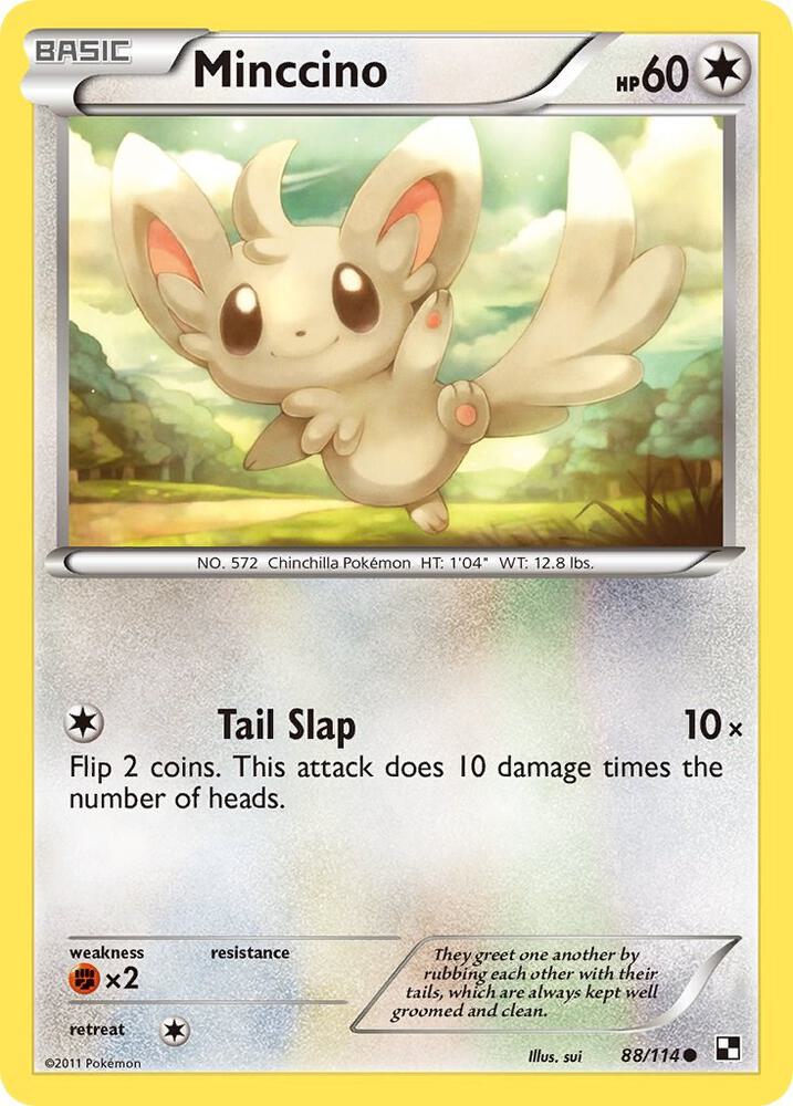 Minccino (Black and White)