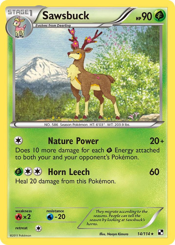 Sawsbuck (Black and White)