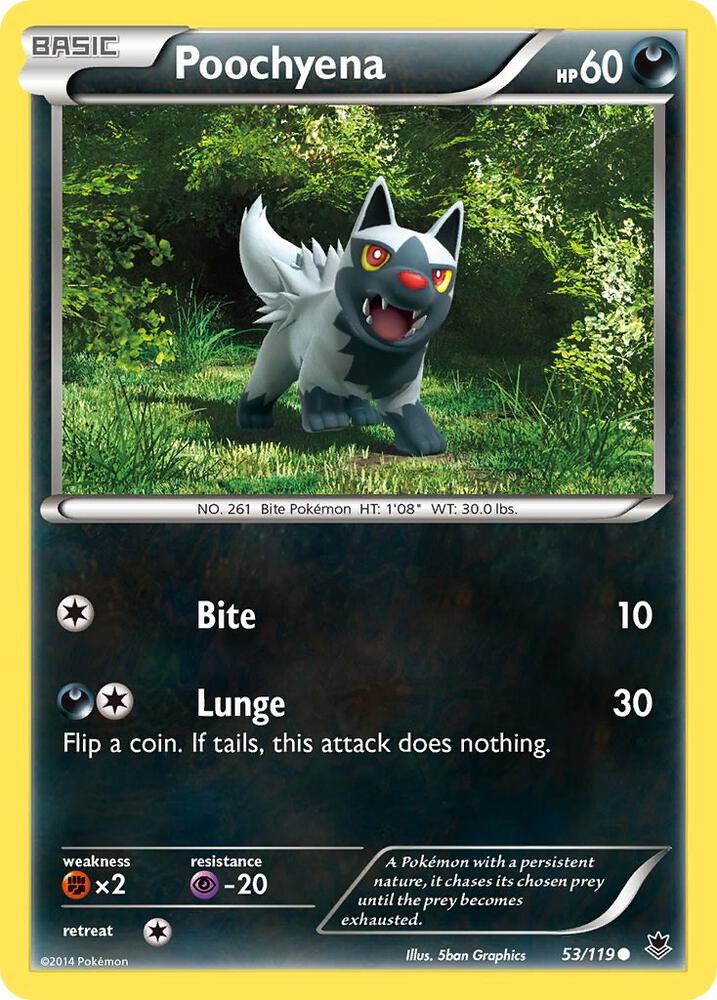 Poochyena (XY - Phantom Forces)