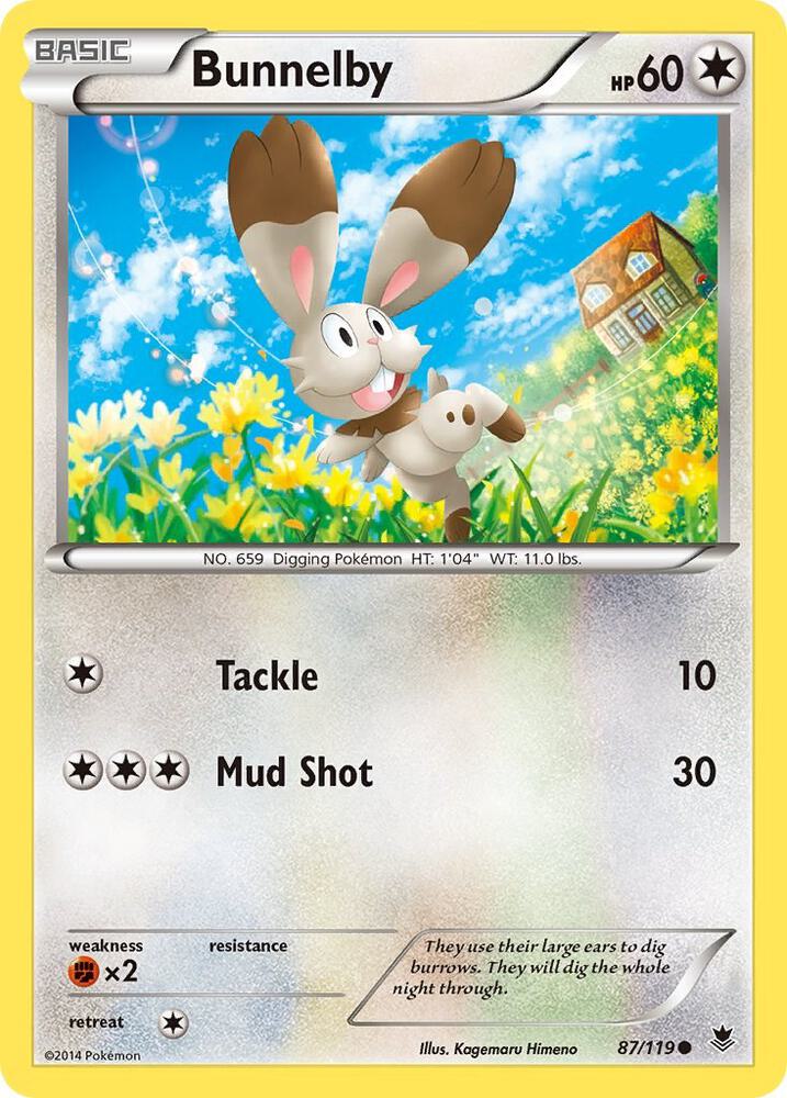 Bunnelby (XY - Phantom Forces)